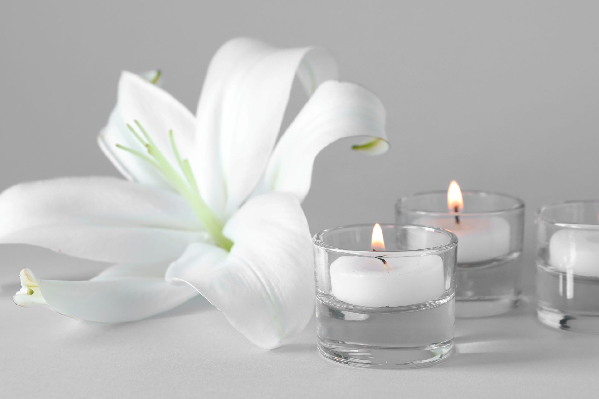 Untitled design - 2025-06-23T154552.907 Untitled design - 2025-06-23T154552.907